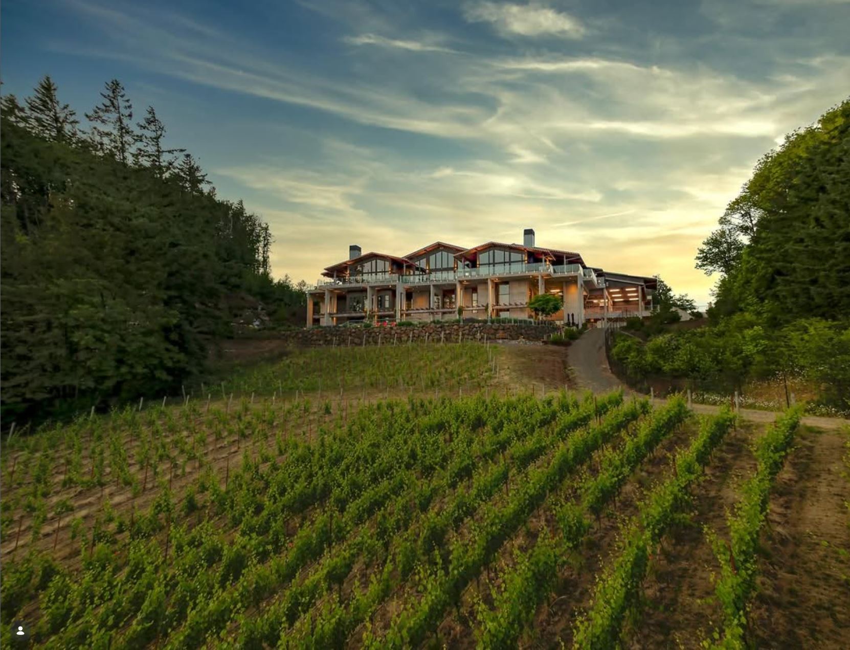 AmaterraSwedeHillVineyard